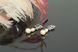 Сережки родій з натуральними перлами "Даміана" 1522 фото 4