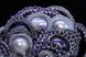 Мереживна брошка з натуральними перлами "Перлинна розсип" 1524 фото 5